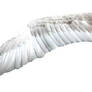 Swan Wing psd