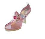 Fairytale Shoe psd by GRANNYSATTICSTOCK