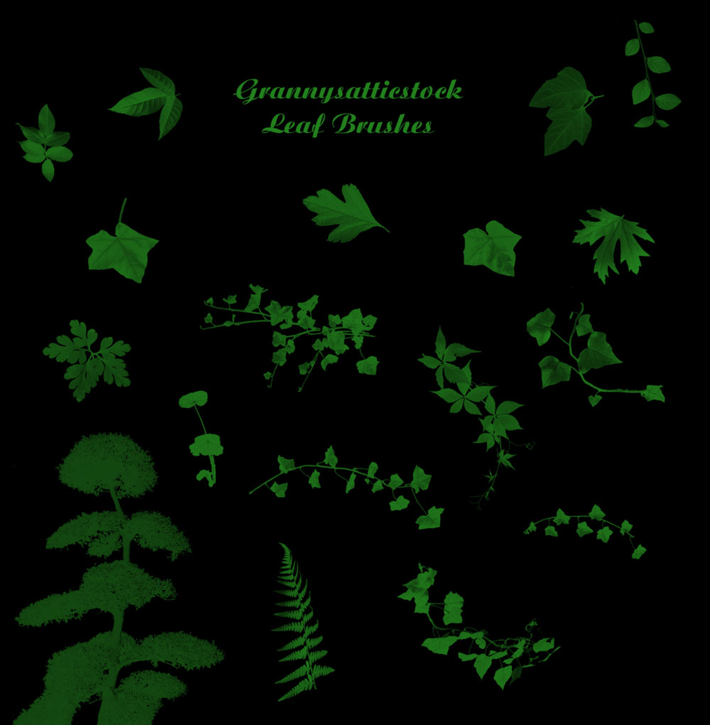 photoshop leaf brushes photoshop leaf brushes