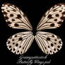 Butterfly Wings psd