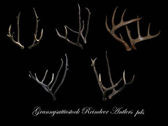 Reindeer Antlers psd by GRANNYSATTICSTOCK