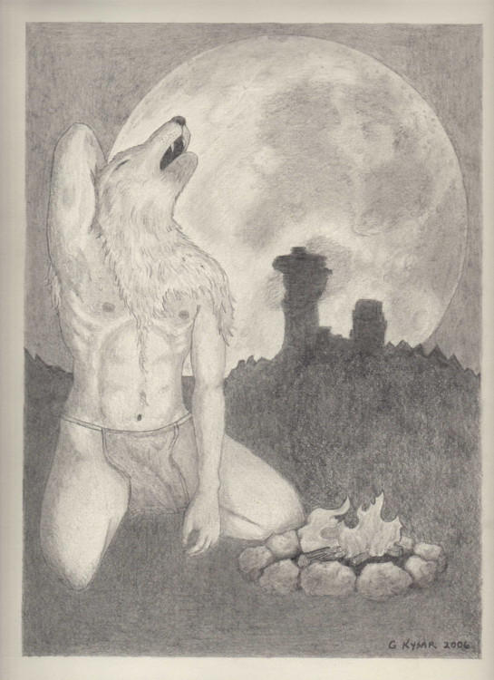 shape shifter by heokawolf on DeviantArt