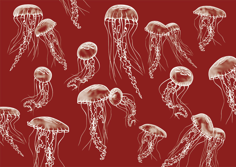 Jellyfishs