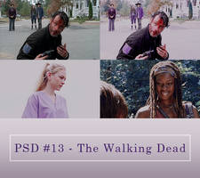 Psd #13 - The Walking Dead