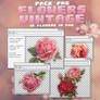 Vintage Flowers - PACK PNG