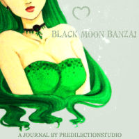 Journal Skin Black Moon Banzai