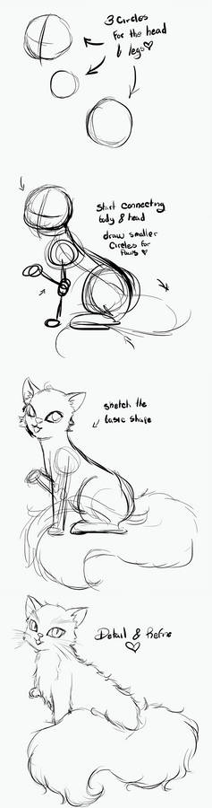 Cat tutorial