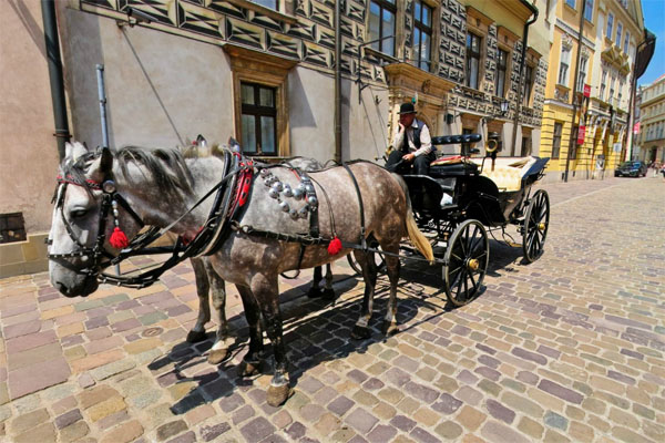 Kanonicza - Cracow 360 PANORAMA