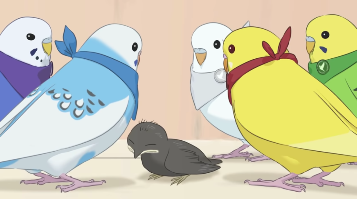 anime budgies 3 by kimmychuc on DeviantArt