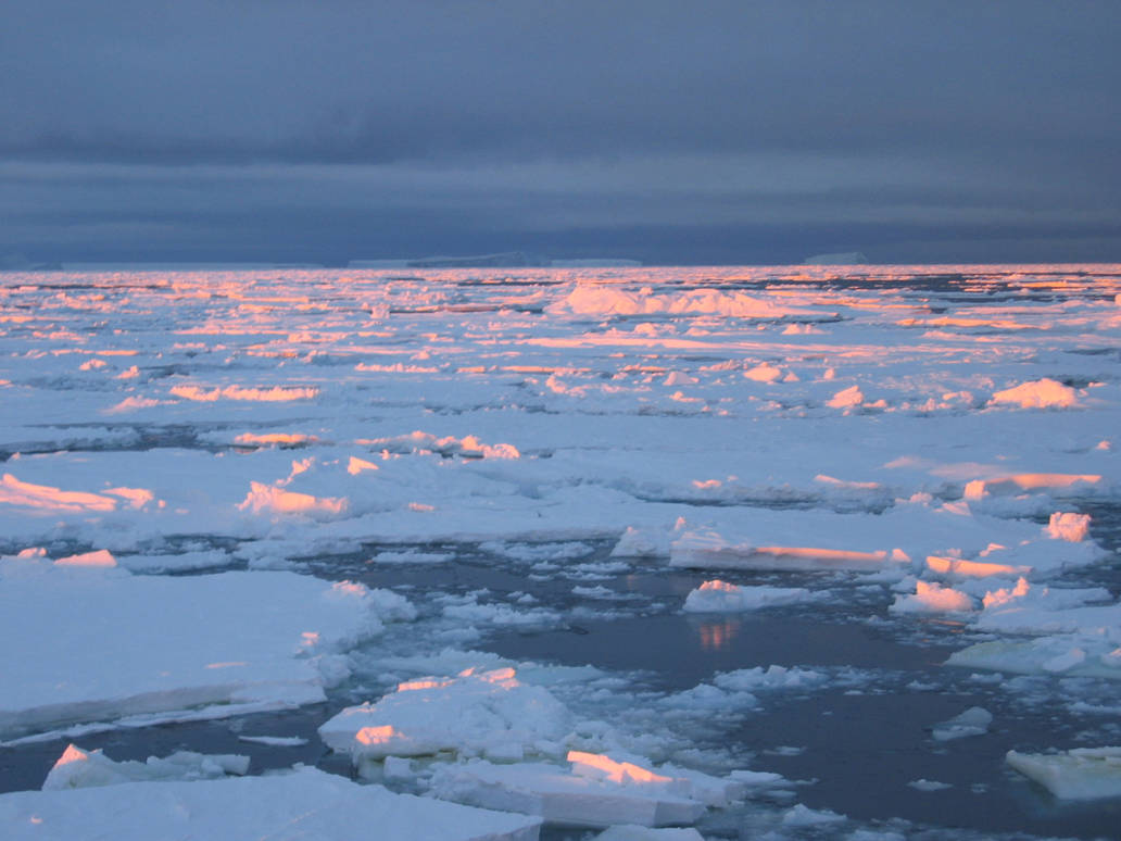 Северный ледовый. Северный полюс Северный Ледовитый океан. Льды Северного Ледовитого океана. Во льдах Арктики.