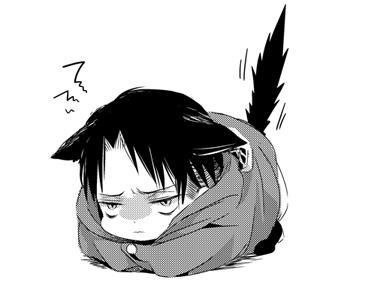 Kitty levi outlet