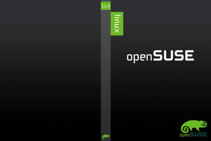 openSUSE 11.0 DVD cover