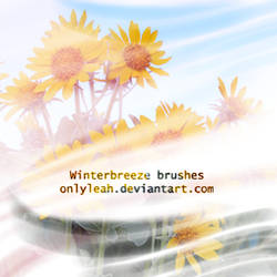 winter breeze brushes