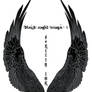 Black Angel Wings 1