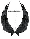 Black Angel Wings 1
