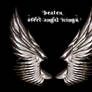 Beaten Steel Angel Wings