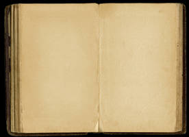 Old Blank Journal