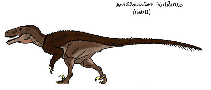 Kaiju Guardian User Profile Deviantart