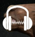 Horse Transformation Audio Morph/Story