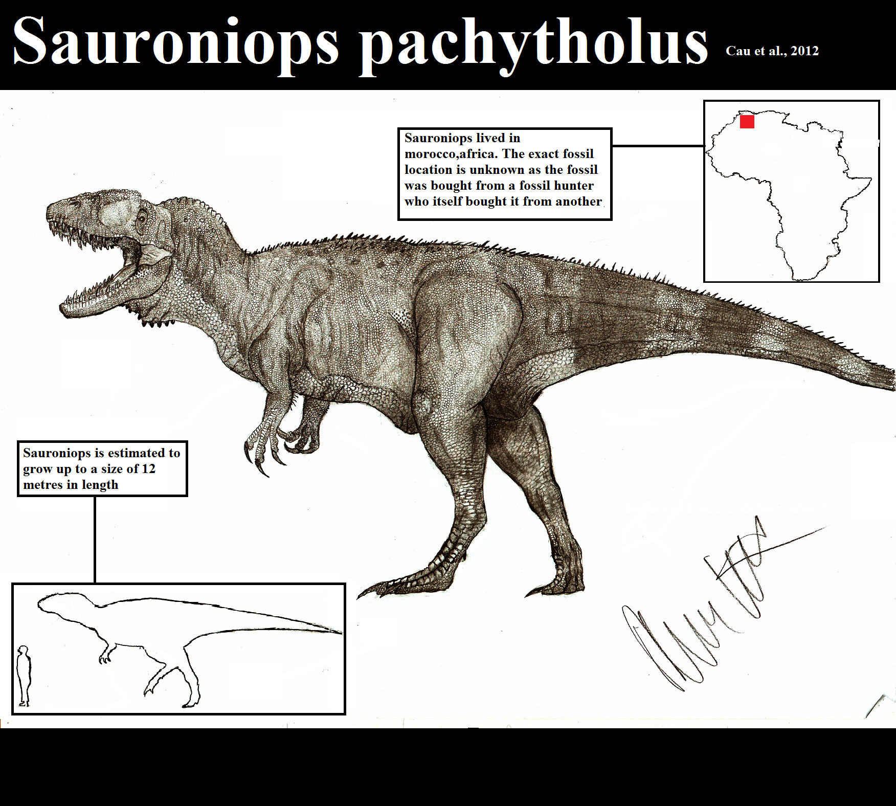 Sauroniops pachytholus