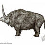 Elasmotherium sibiricum