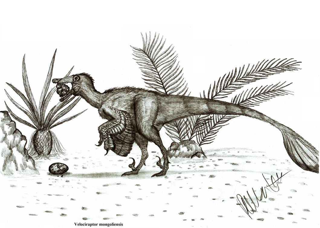 All yesterdays: Clever girl by Teratophoneus on DeviantArt