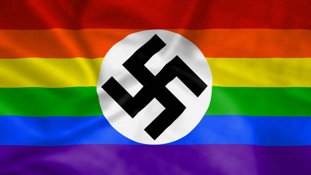 Gay Swastika Fabric Flag 8k PSD #2