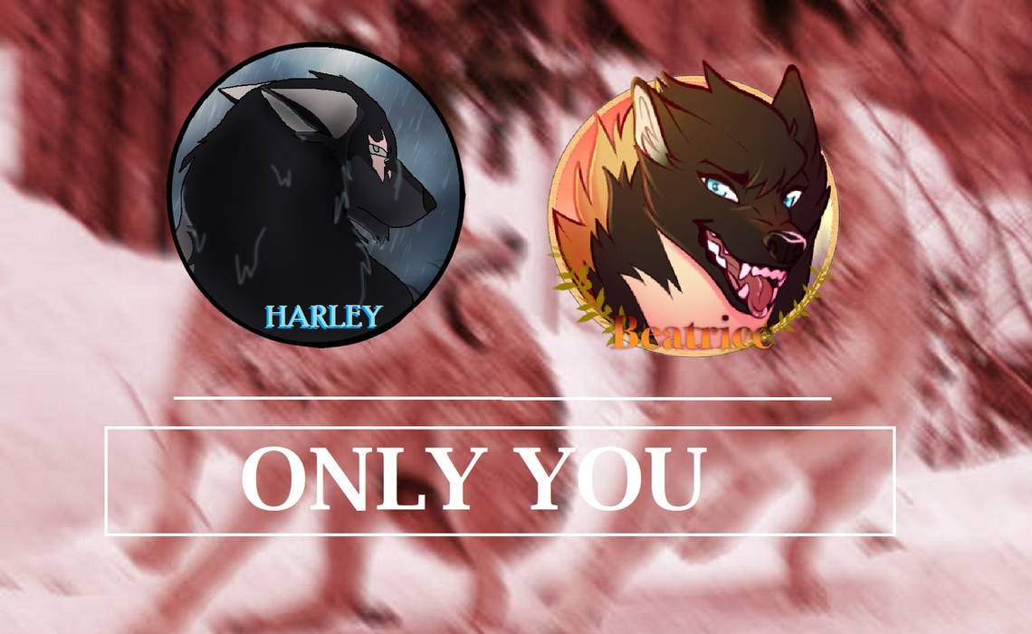 Only You by Lotus-Wolfdragon on DeviantArt
