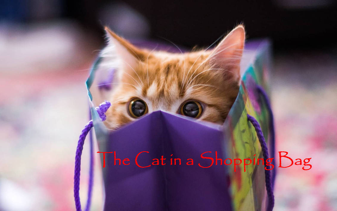 More Scary Stories The Cat In A Shopping Bag By Pikachu Train On