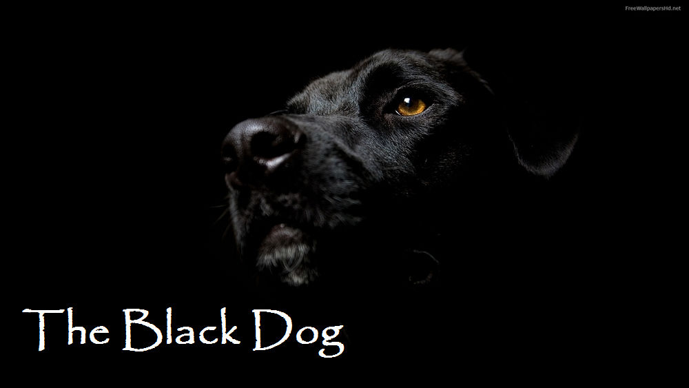 Creepy dog stories sales