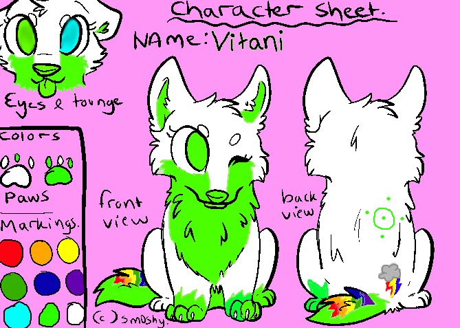 vitani's character sheet