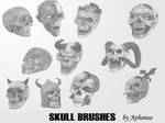 Skull Brushes by Aphonso