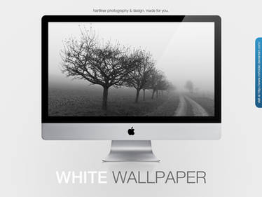 White Wallpaper