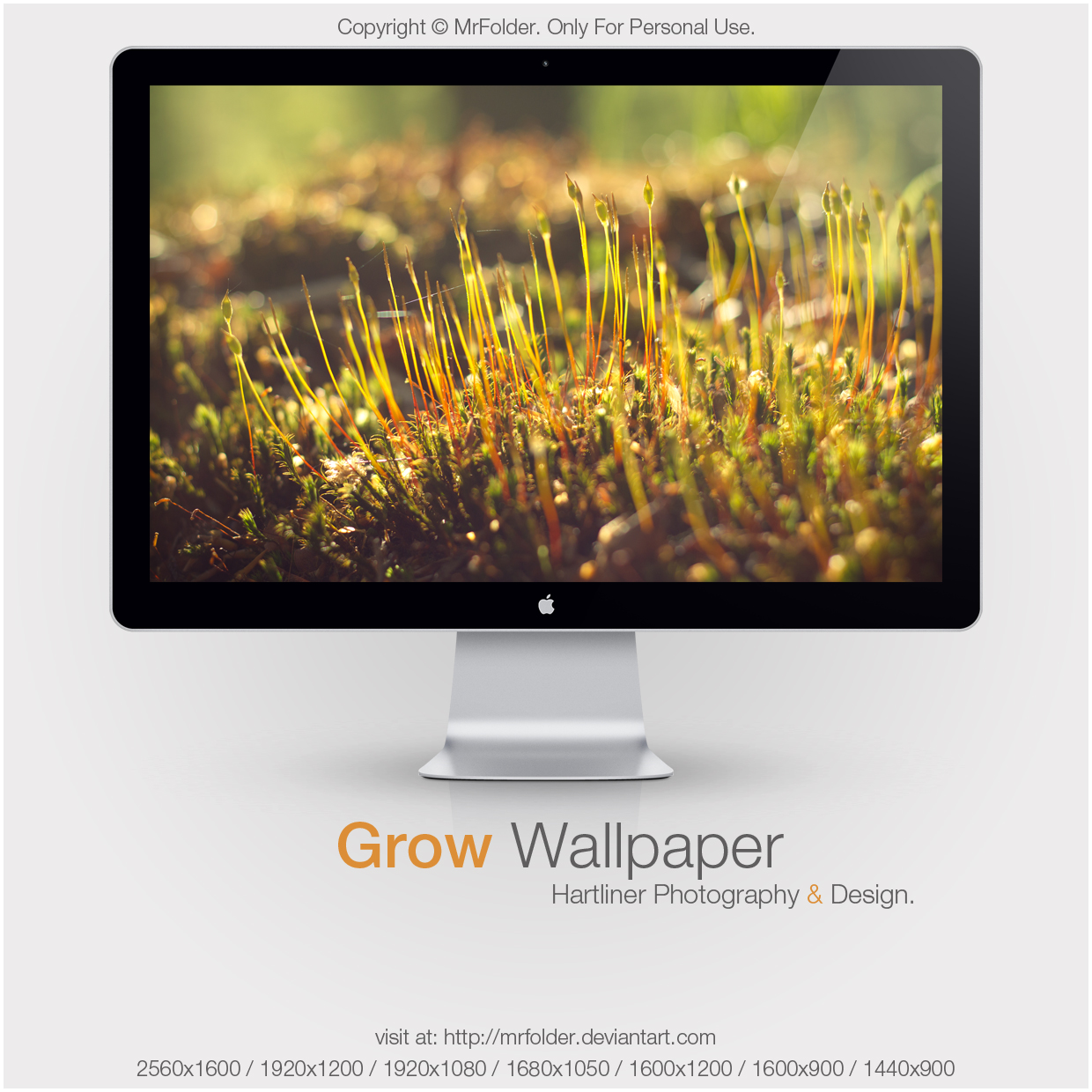 Grow Wallpaper