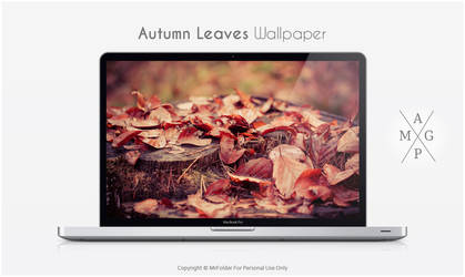 Autumn Leaves Wallpaper by MrFolder