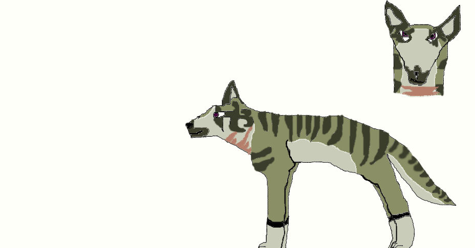 Diku by digimonfrontier77 on DeviantArt