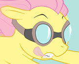 FlutterFly