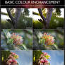 Basic Colour Enhance Presets - For Lightroom