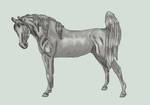 Arabian Grayscale + Lineart by SunnyBlueDay