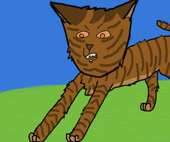 Tigerstar