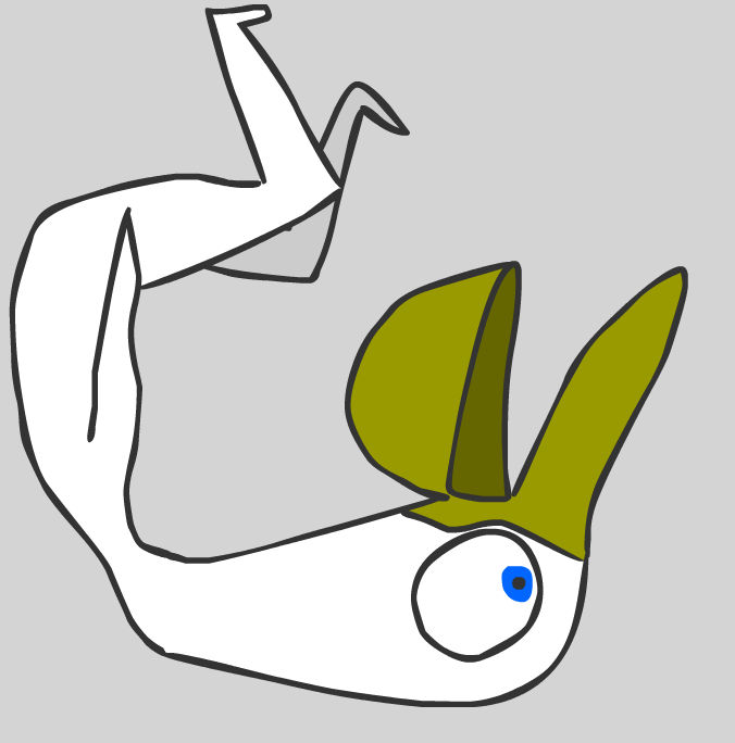 Another Bird by polifuffle on DeviantArt
