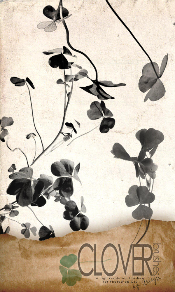 Clover brushes by aeiryn on DeviantArt