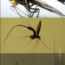 scary bug pack