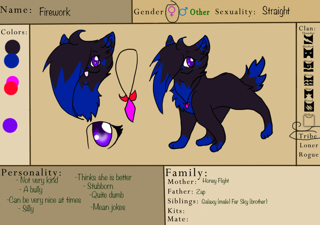 Firework Reference Sheet by GalaxyBlues on DeviantArt