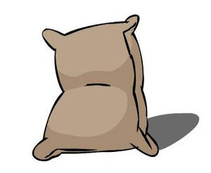 Flour Sack