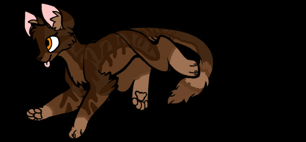 Warrior Cat OC by NebbiaDC on DeviantArt