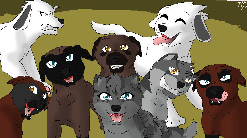 The New Recruits by StormyRyder on DeviantArt