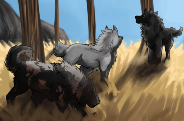 Activity for xpatronus