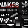 Pack de Brushes by Snakes Editions.