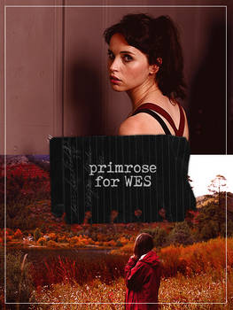 Primrose for Wes - PSD #106